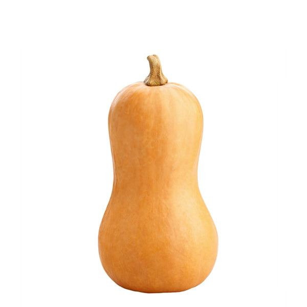 Fresh butternut squash from Local Market, single piece, with smooth beige skin and bulbous shape, ready for cooking or baking.