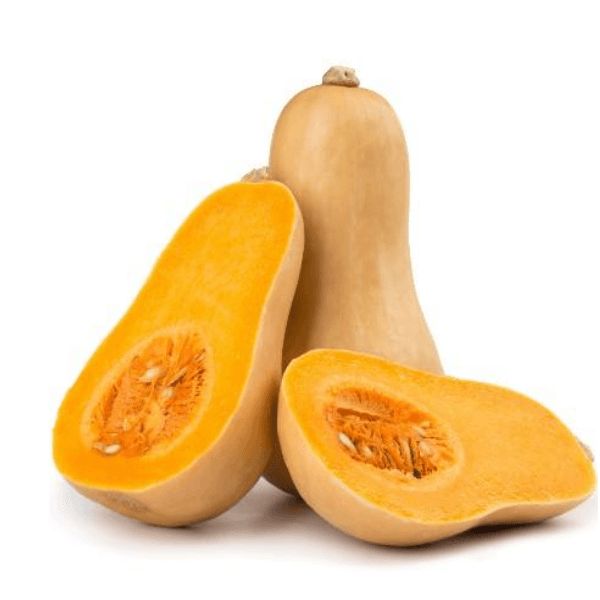 Single butternut squash from local market, fresh vegetable with smooth tan skin and bulbous bottom, ready for cooking.