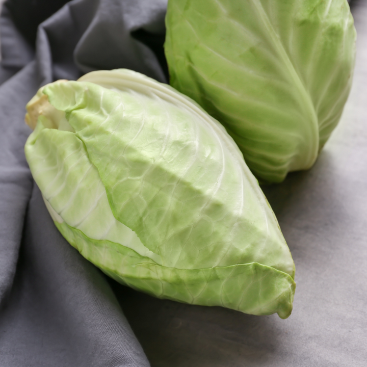 Fresh pointed sugarloaf cabbage from Holland, showcasing its crisp, leafy green vegetable appearance with tightly packed leaves.