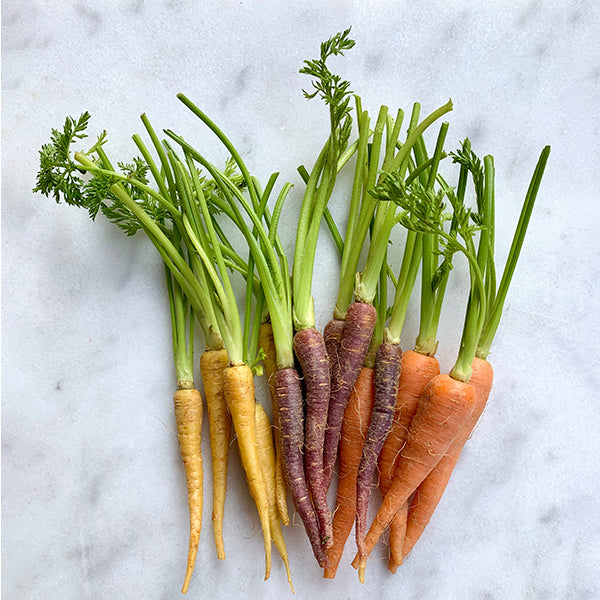 Colorful rainbow baby carrots from Holland in a 0.2 kg pack, fresh and vibrant vegetable ready for cooking or snacking.
