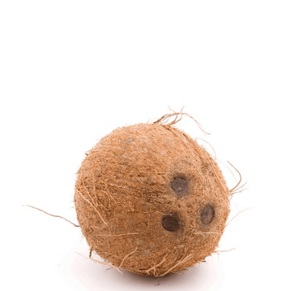 Brown husked coconut fruit from local market, single piece with rough textured shell and natural brown color.