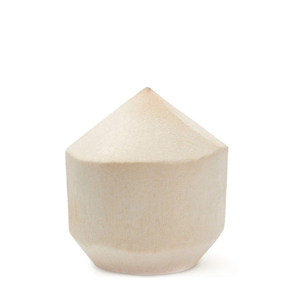 Whole young Thai coconut fruit with a brown outer shell, perfect for drinking fresh coconut water.