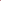 Fresh red cranberries in a 0.25 kg Holland fruit pack, showcasing vibrant, ripe berries ready for cooking or snacking.