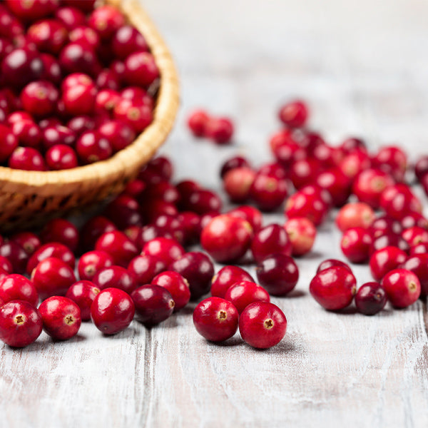 Fresh red cranberries in a 0.25 kg Holland fruit pack, showcasing vibrant, ripe berries ready for cooking or snacking.
