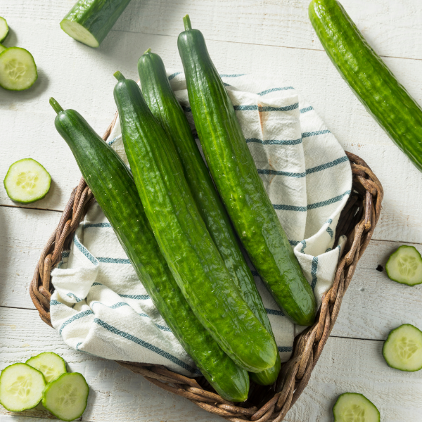 Extra large English cucumber from Holland, fresh vegetable with vibrant green skin, shown as a single whole piece.