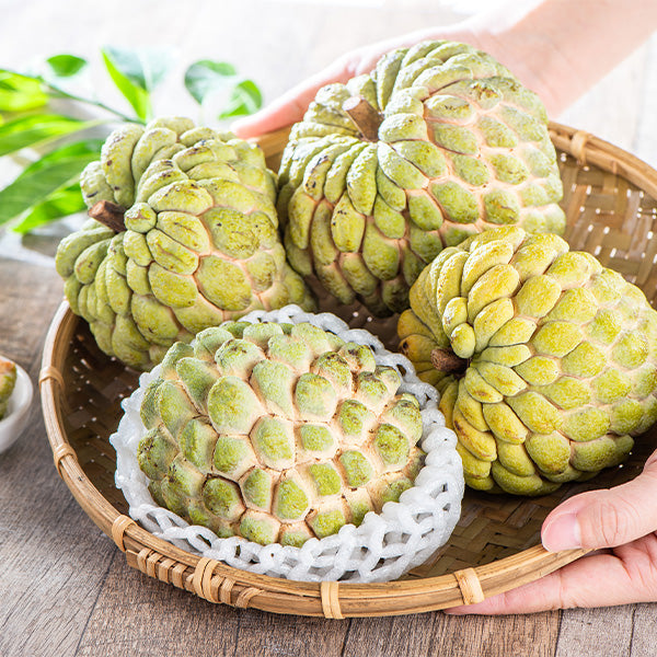 Fresh custard apples from Yemen in a Sharbatly 3.5 kg carton, showcasing their green, textured skin and creamy interior.
