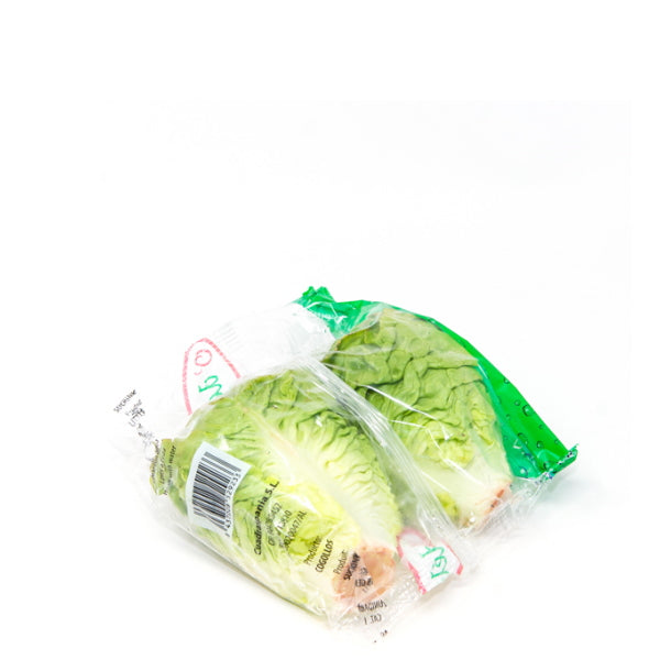 Fresh Little Gem baby lettuce in a 0.35 kg pack from Holland, vibrant green leaves, ideal for salads and healthy meals.