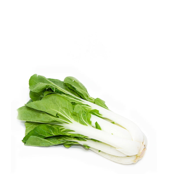 Fresh Holland Shanghai pak-choi vegetable, single leafy green with thick white stems, ready for cooking or salads.