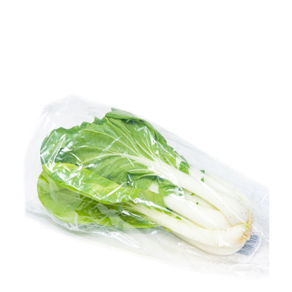Fresh Shanghai Pak-choi vegetable from Holland, single leafy green with crisp stalks and vibrant leaves on a white background.
