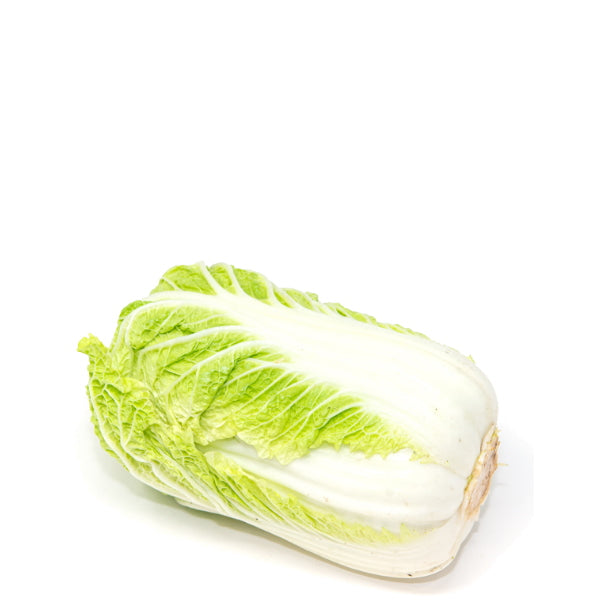 Fresh Chinese Napa cabbage vegetable from Holland, single whole piece with crisp, green leaves and compact shape.