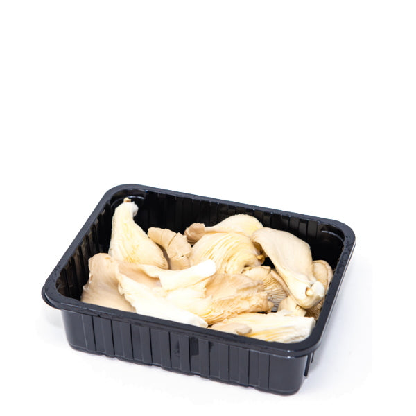 Fresh oyster mushrooms in a 0.15 kg pack from Holland, showing white and gray caps with a delicate, textured surface.
