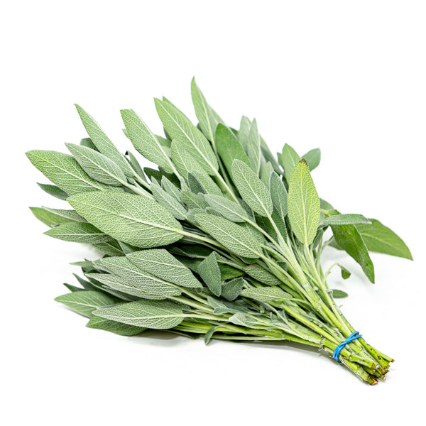 Fresh Kenya sage herb bunch, 0.1 kg, with vibrant green leaves, ideal for cooking and herbal remedies.