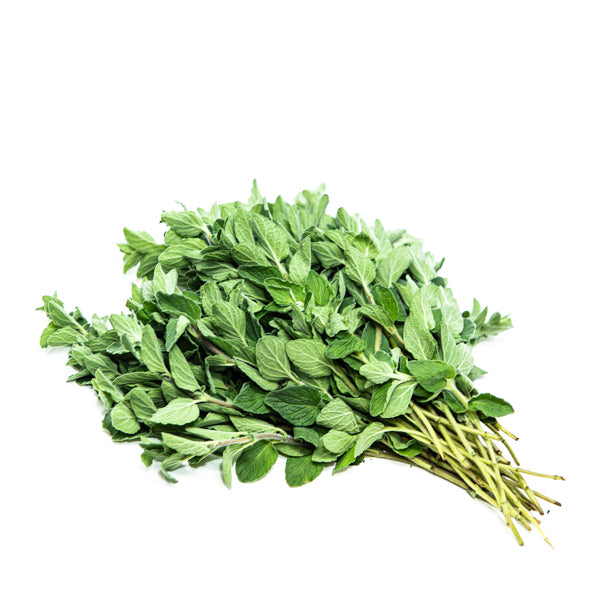 Fresh Kenya oregano herb bunch, 0.10 kg, with vibrant green leaves and sturdy stems, ideal for cooking and garnishing.