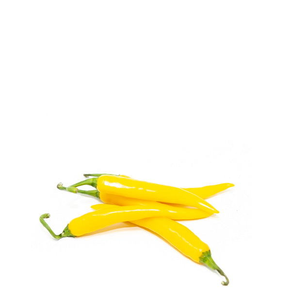Yellow Gold Cayenne chili pepper herb from Holland, bright yellow dried chili peppers in a 0.25 kg package.