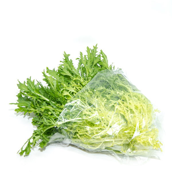 Single yellow frisée lettuce with curled endive leaves, fresh vegetable from Holland, shown in the image.
