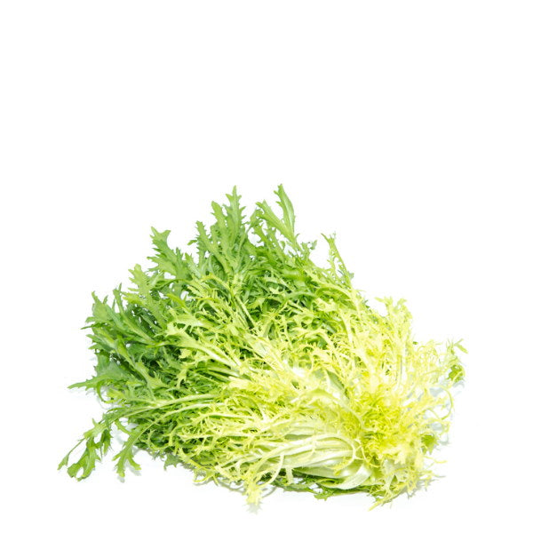 Single yellow frisée lettuce leaf with curled endive edges, fresh vegetable from Holland, shown on a white background.