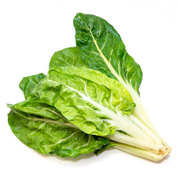 Fresh green Swiss chard from Holland, single bunch, with vibrant leafy stems and fresh, crisp leaves.