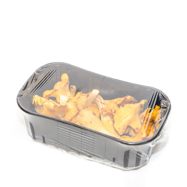 Wild Chanterelle mushrooms from Holland in a 0.1 kg vegetable pack, fresh with golden color and distinctive shape.