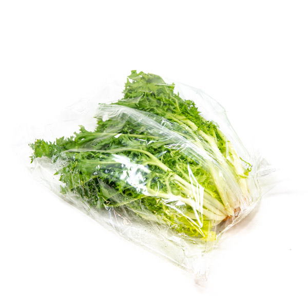 Fresh green frisée lettuce from Holland, single leafy vegetable piece with curly edges and vibrant color.