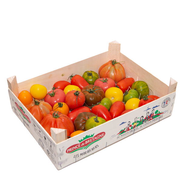 Heirloom mixed tomatoes from Holland in a 3.5 kg carton, fresh and vibrant vegetable with colorful heirloom varieties.