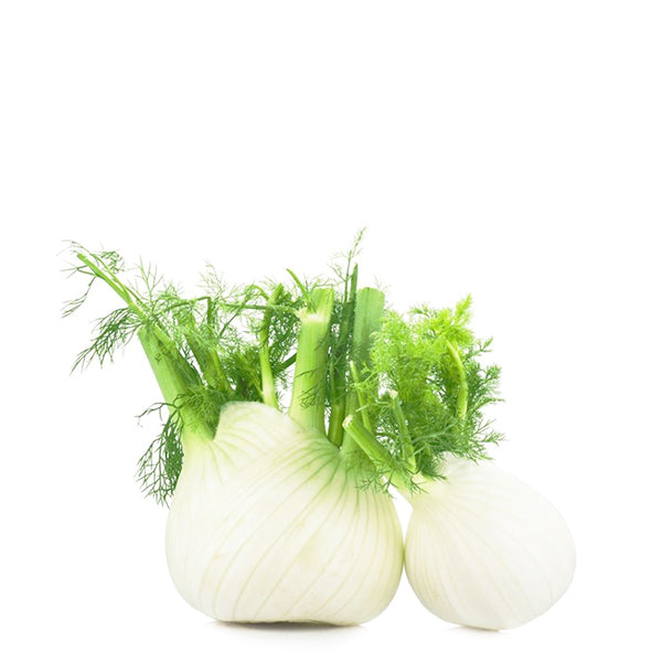 Fresh Holland fennel vegetable in a 1.5 kg pack, showing crisp green stalks and bulbous white base.