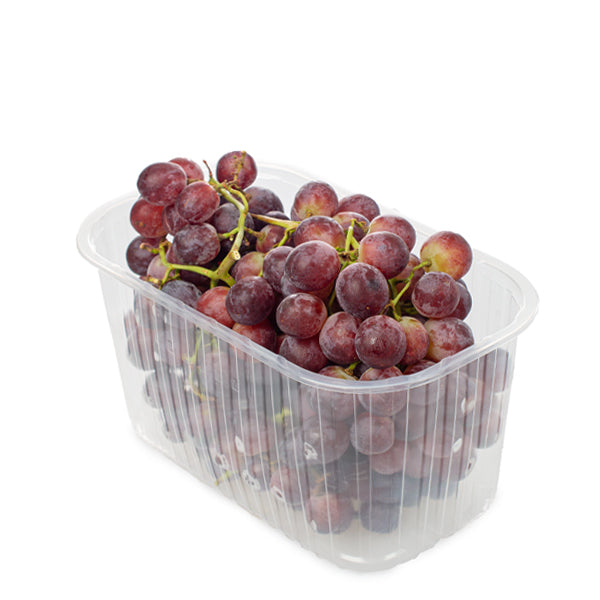 Red seedless grapes in a 1.5 kg pack, fresh and vibrant, from Sharbatly, ready to enjoy as healthy fruit snack.