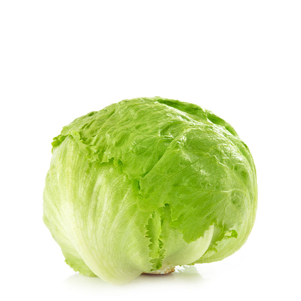 Fresh iceberg lettuce leaf from Sharbatly, showcasing crisp, green vegetable with textured surface.