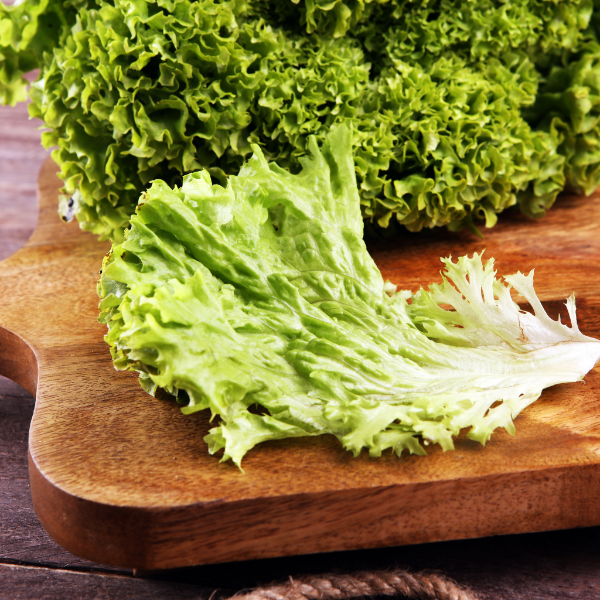 Fresh Lollo Biondo lettuce from Osama Bakr Veg, showcasing a single crisp, leafy vegetable ideal for salads and sandwiches.