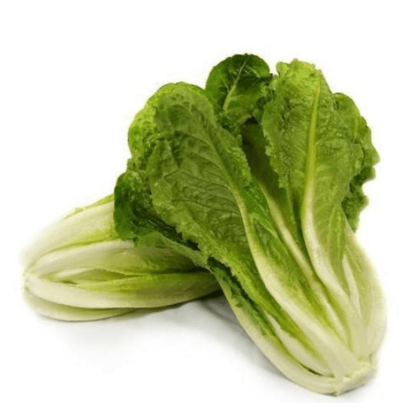 Fresh Romaine lettuce bunch from Local Market, vibrant green vegetable suitable for salads and sandwiches.