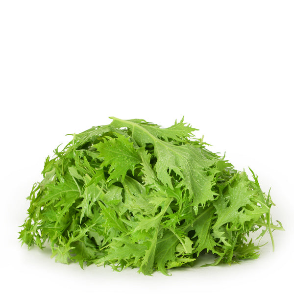 Fresh green Mizuna lettuce from Holland, a leafy mustard vegetable in a 0.125 kg pack, ideal for salads and garnishes.