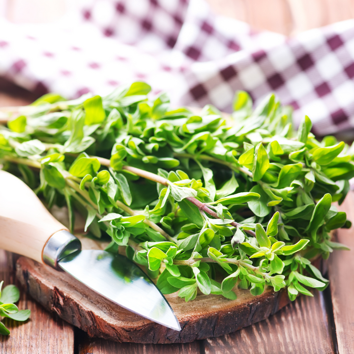 Marjoram, 0.1 kg bunch - Sharbatly.Club