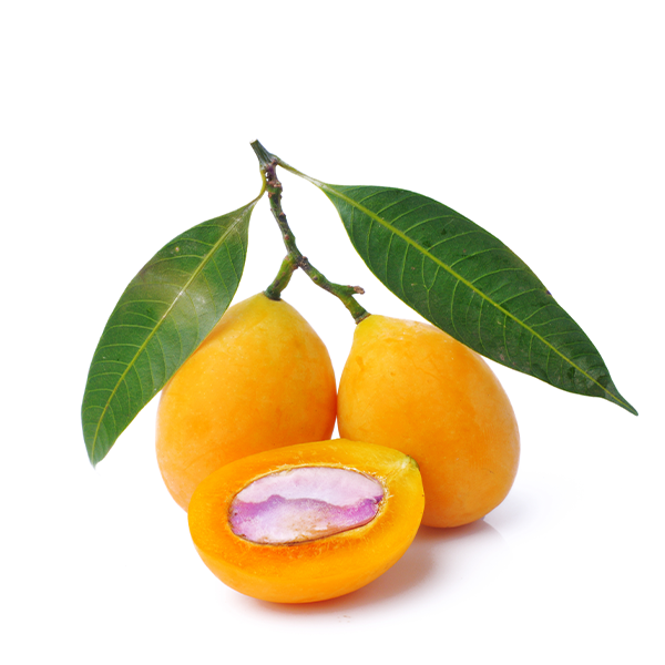 Fresh plum mango fruit pack from Thailand, Marian Maprang, 0.5 kg, showcasing ripe, colorful tropical fruit in a natural setting.