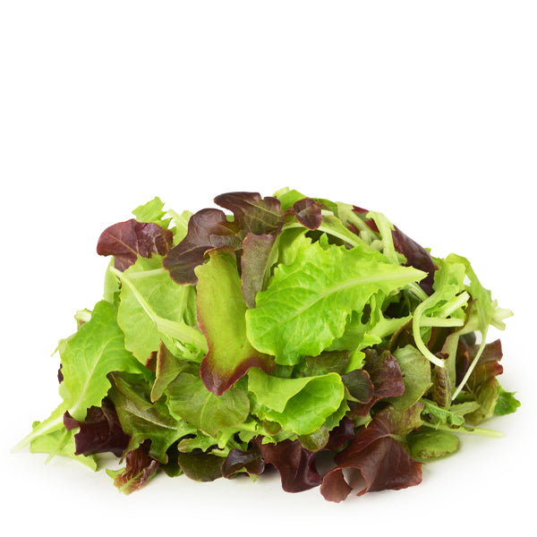 Fresh hydroponic lettuce mix from Babul in a 0.125 kg pack, showcasing vibrant green leafy vegetable for salads and healthy meals.