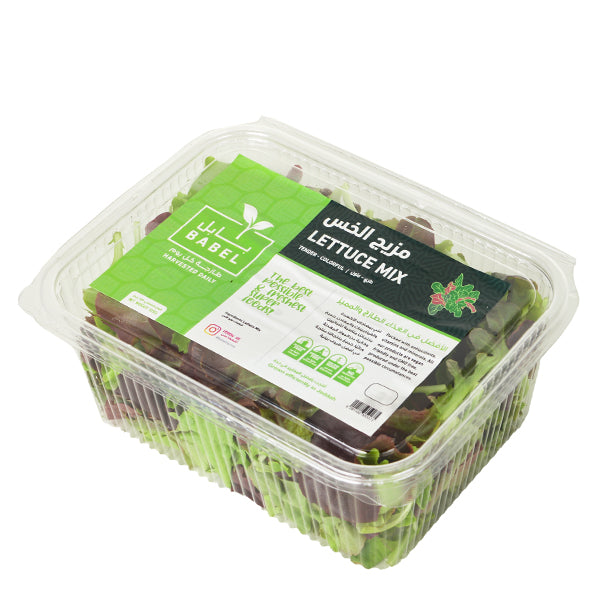 Fresh hydroponic lettuce mix from Babul, shown in a 0.125 kg pack, with vibrant leafy greens and crisp textures.
