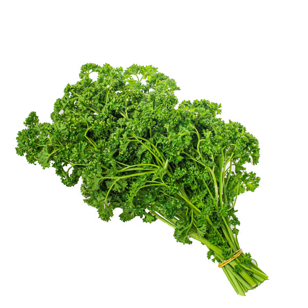 Fresh curly parsley bunch from Holland, 0.1 kg, vibrant green herb with curly leaves for cooking and garnishing.