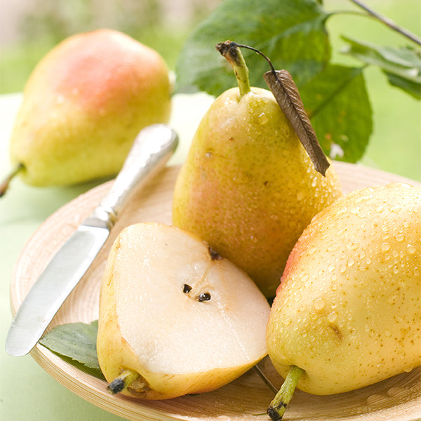 Fresh Ercolini pears in a 1 kg pack by Sharbatly, showcasing their ripe, yellow-green exterior and smooth skin.