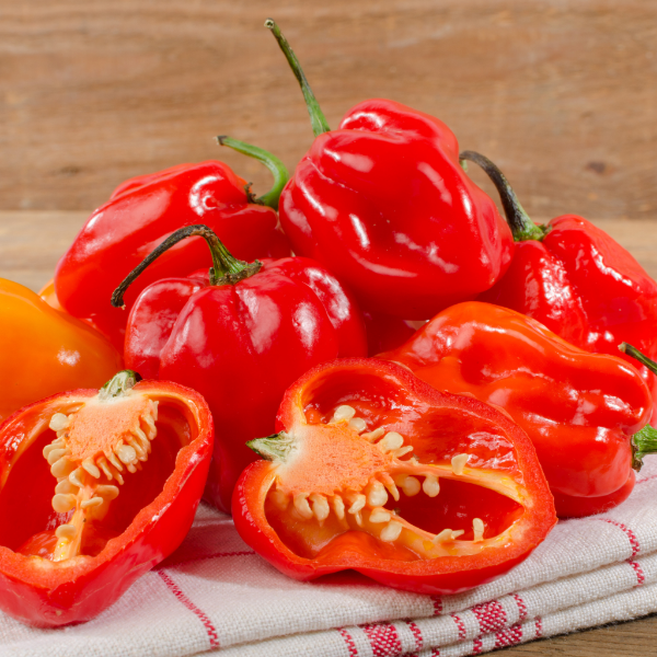 Red habanero pepper herb pack from Holland, 0.15 kg, showcasing vibrant, fiery peppers with green stems and leaves.