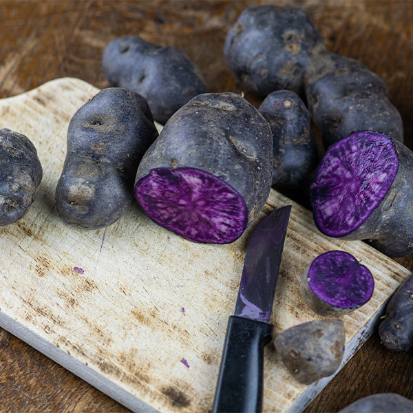 Purple long Chinese truffle potatoes from Holland, 1 kg pack, fresh vegetables with vibrant purple skin and elongated shape.