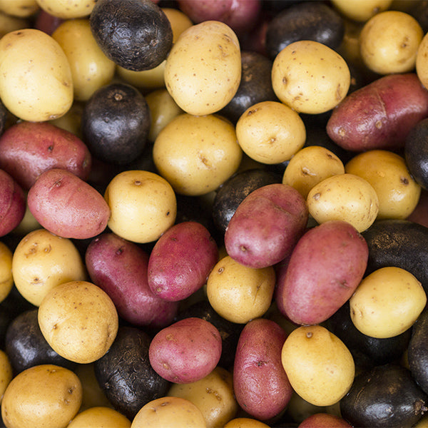 Holland baby potato mix in 1 kg pack, fresh small vegetable potatoes with diverse sizes and shapes, ready for cooking.