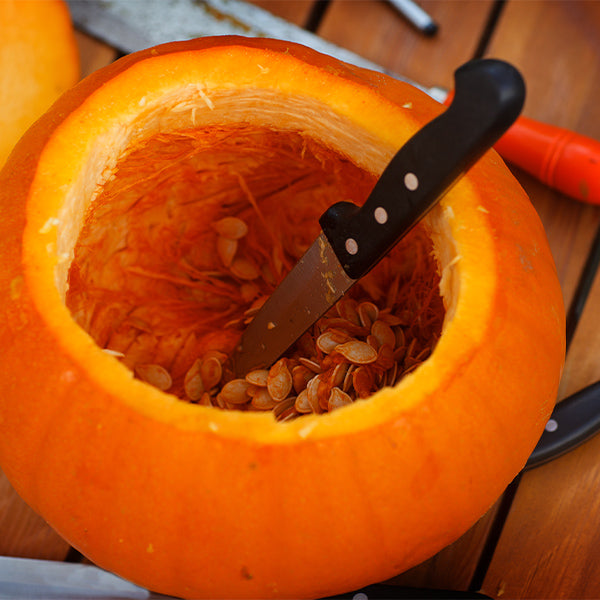 Medium Trickster pumpkin for carving, fresh vegetable from Holland with vibrant orange skin and sturdy stem.