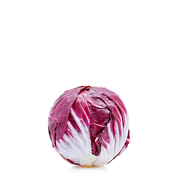 Fresh red radicchio lettuce from Holland, showcasing vibrant purple and white leaves on a single vegetable piece.