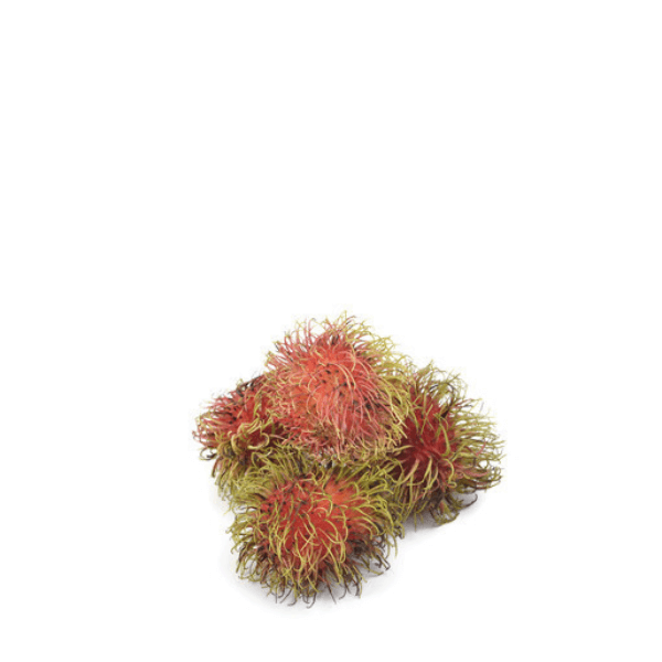 Fresh rambutans from Thailand, 0.5 kg pack, showcasing their hairy red exterior and green tips, ripe and ready to eat.