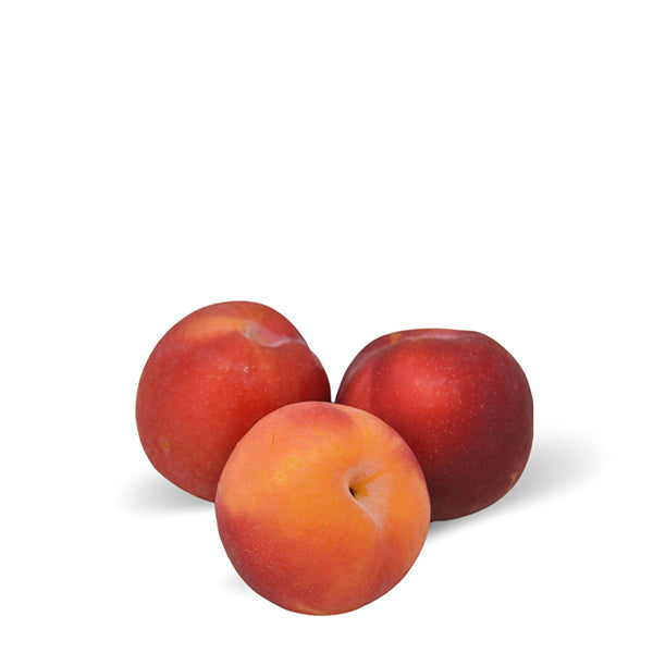 Fresh red plums from Sharbatly in a 5 kg carton, showcasing ripe, juicy fruit with smooth red skin.