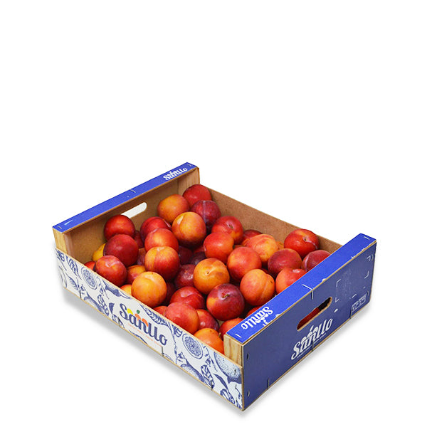 Red Sharbatly plums in a 5 kg carton, fresh and ripe red fruit ready for eating or cooking.