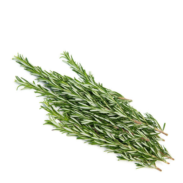 Fresh rosemary herb bunch from Kenya, 0.10 kg, with vibrant green sprigs and aromatic leaves, ideal for cooking and garnishing.