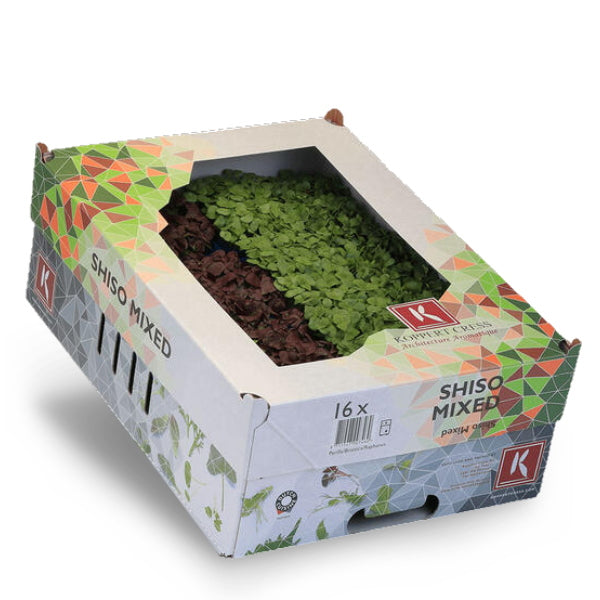 Mixed shiso and cress vegetables from Holland, 16 pieces of gourmet shisomix for fresh, flavorful culinary use.