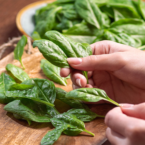 Fresh green spinach bunch from Local Market, 0.5 kg, with vibrant leaves ideal for salads and cooking.