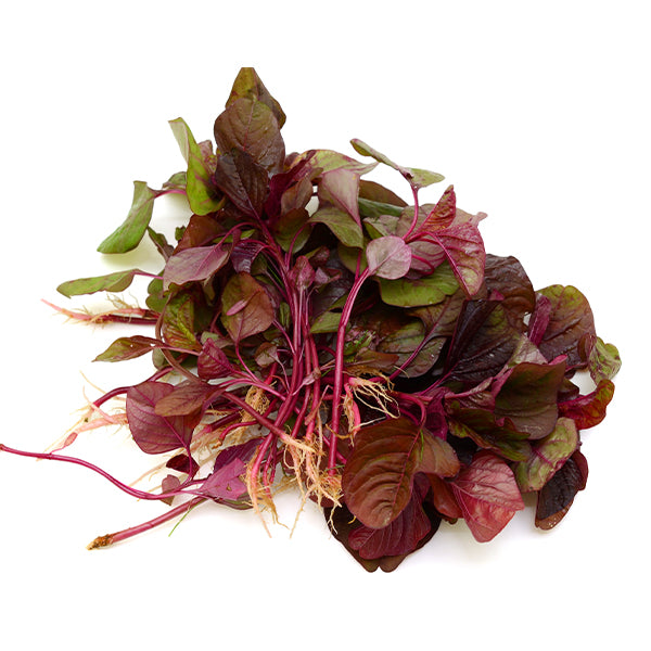 Fresh red spinach bunch weighing 0.7 kg, vibrant leafy vegetable from Local Market.