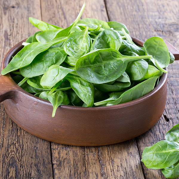 Fresh organic hydroponic spinach baby in a 0.125 kg pack from Mishkat, showing vibrant green leaves ready to eat.