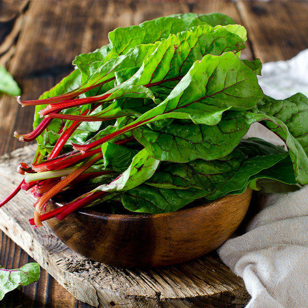 Fresh rainbow Swiss chard bunch from Holland, vibrant colorful leaves and tender stems, 0.35 kg vegetable bundle.